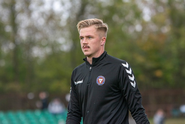 可小觑的新 可小觑的新