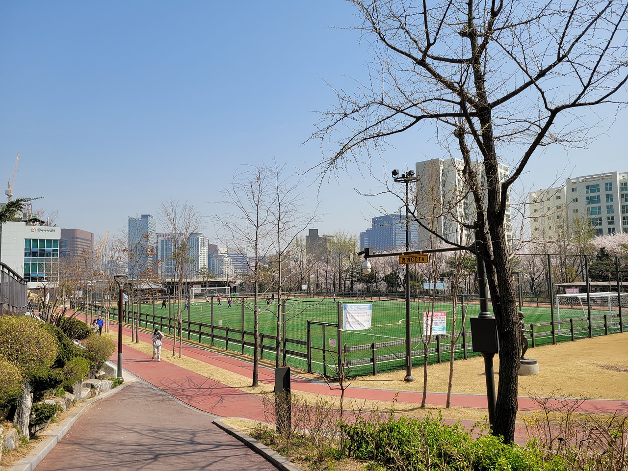 得分如虹 得分如虹