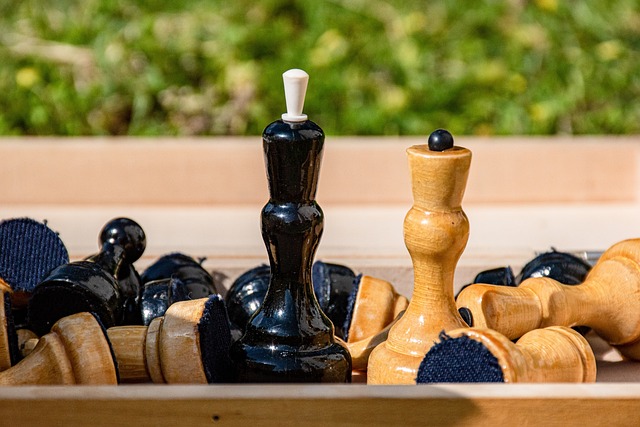 在篮球的世 在篮球的世