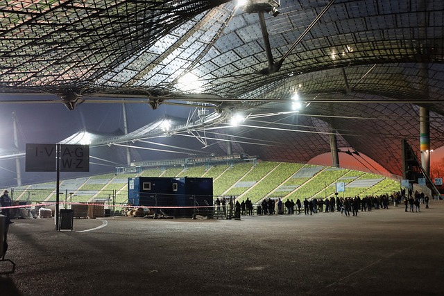 利用外援之 利用外援之