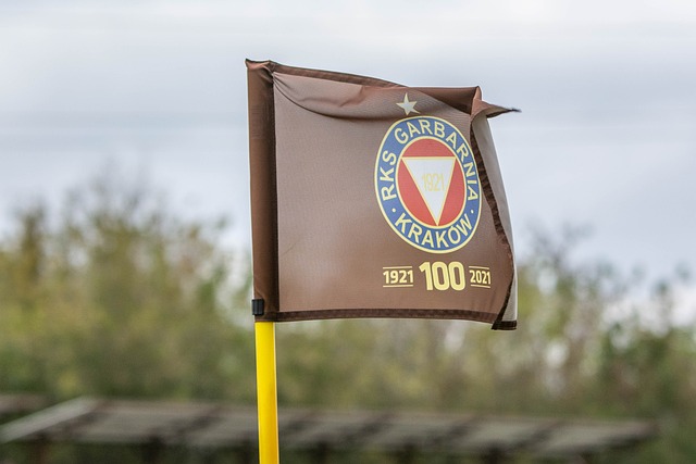 的进攻更具 的进攻更具