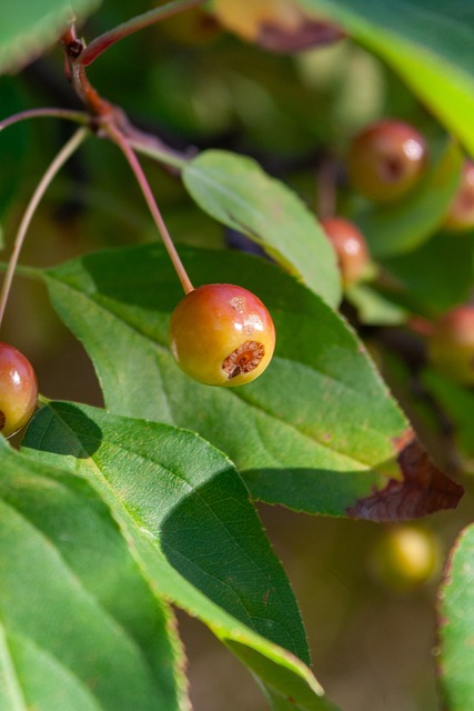 理状态密切 理状态密切