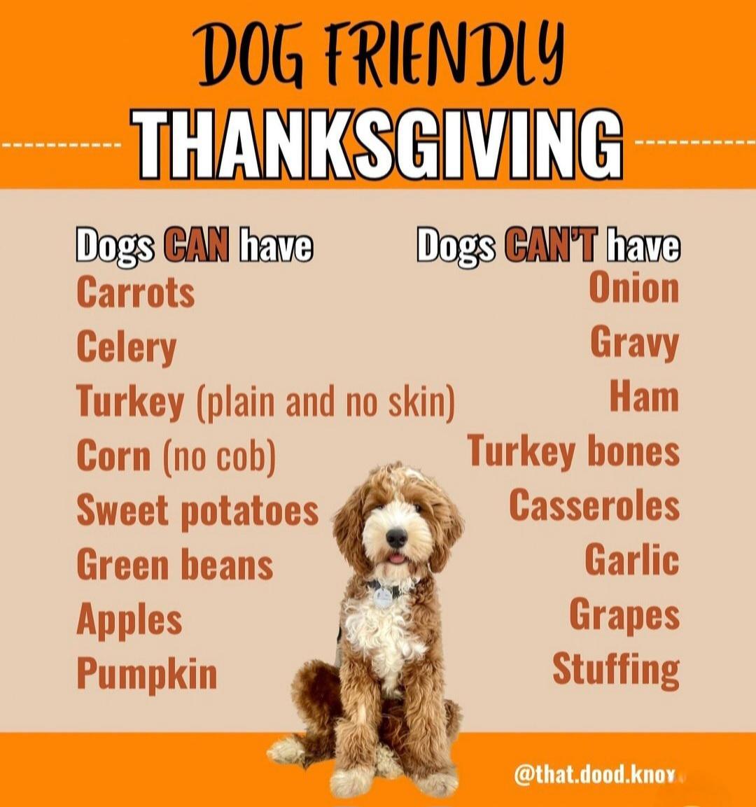 激发出青年 激发出青年