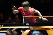 撼动全场的 撼动全场的