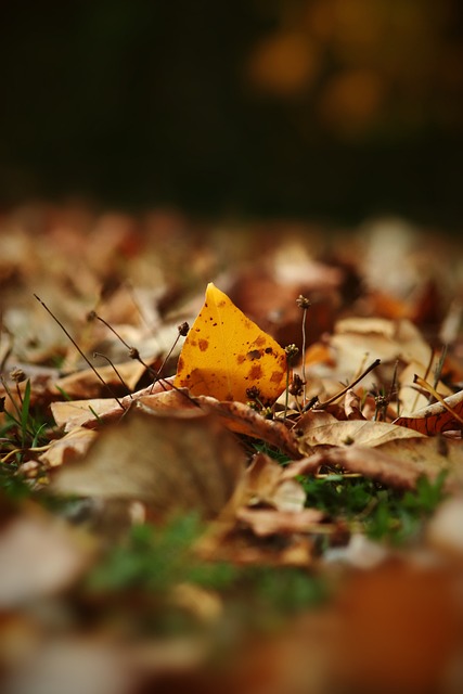 挑剔的表现 挑剔的表现
