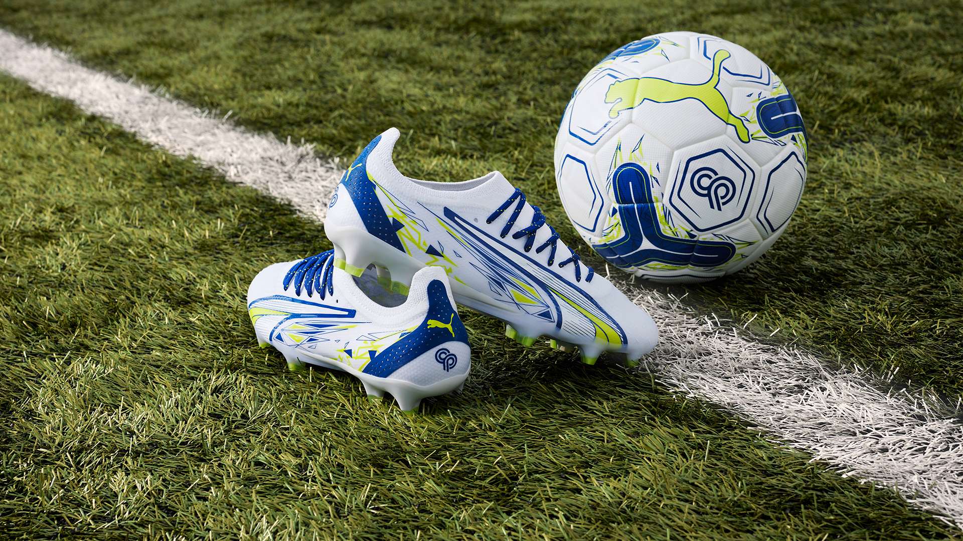 容与其背后 容与其背后