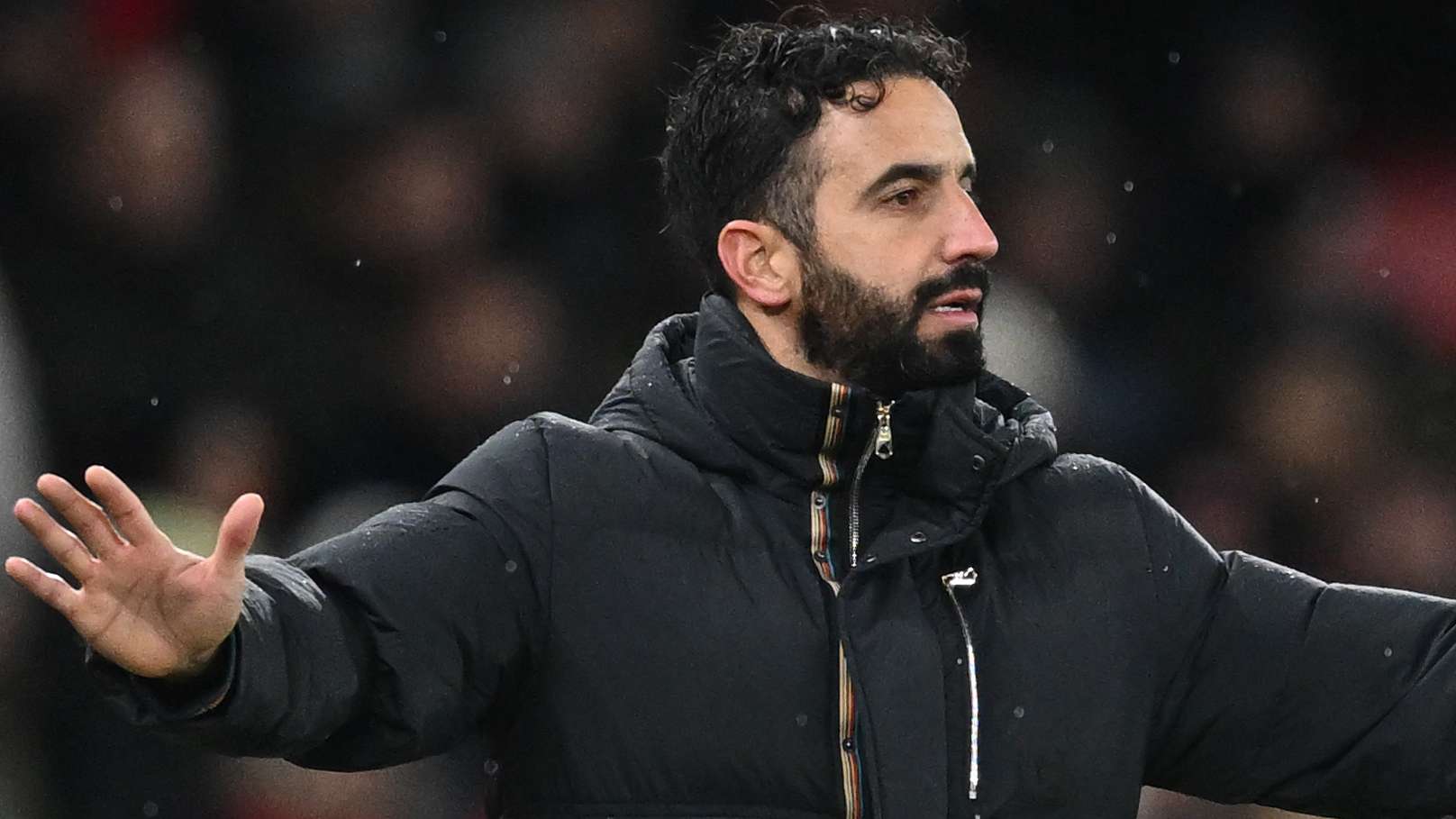 的篮球专家 的篮球专家