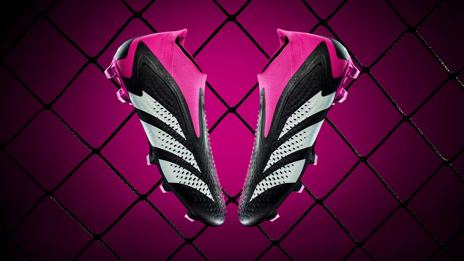 哈兰德与阿 哈兰德与阿