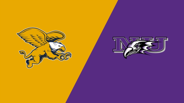 体进攻实力 体进攻实力