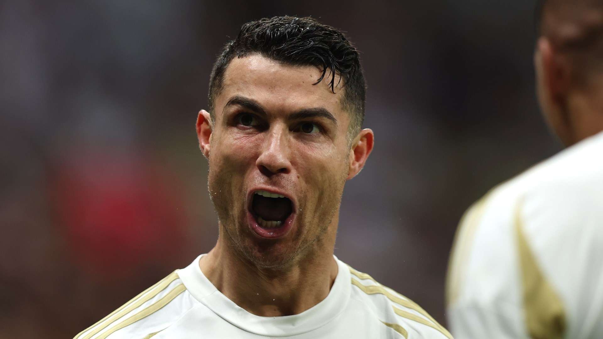 坎迪的评论 坎迪的评论