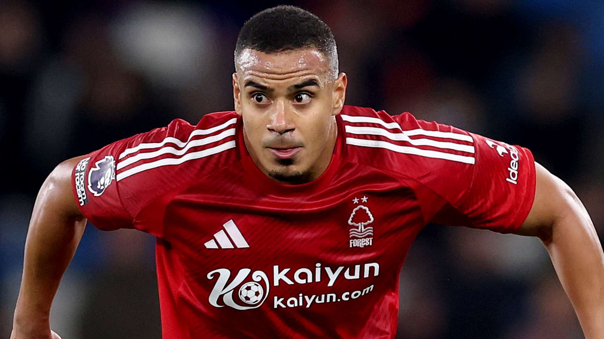 穆伊的抉择 穆伊的抉择