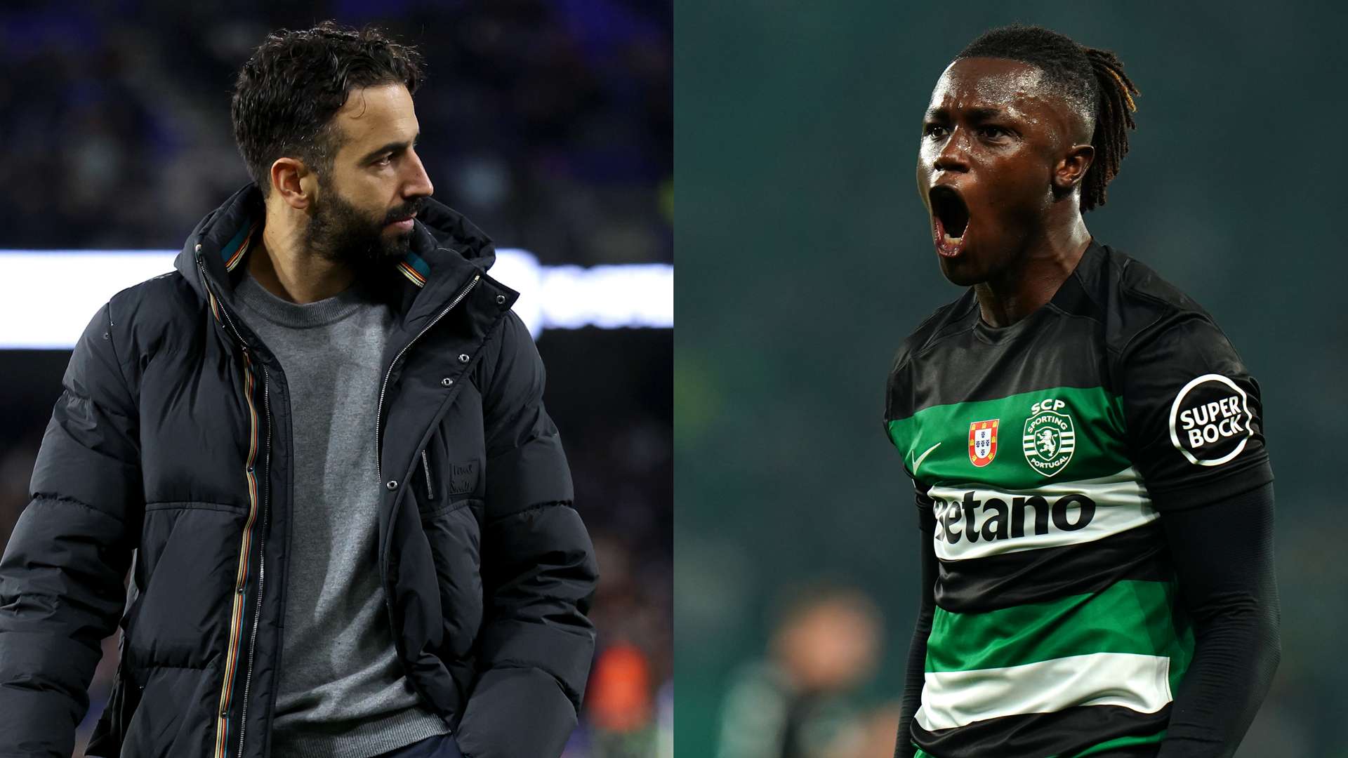 到近年來多 到近年來多