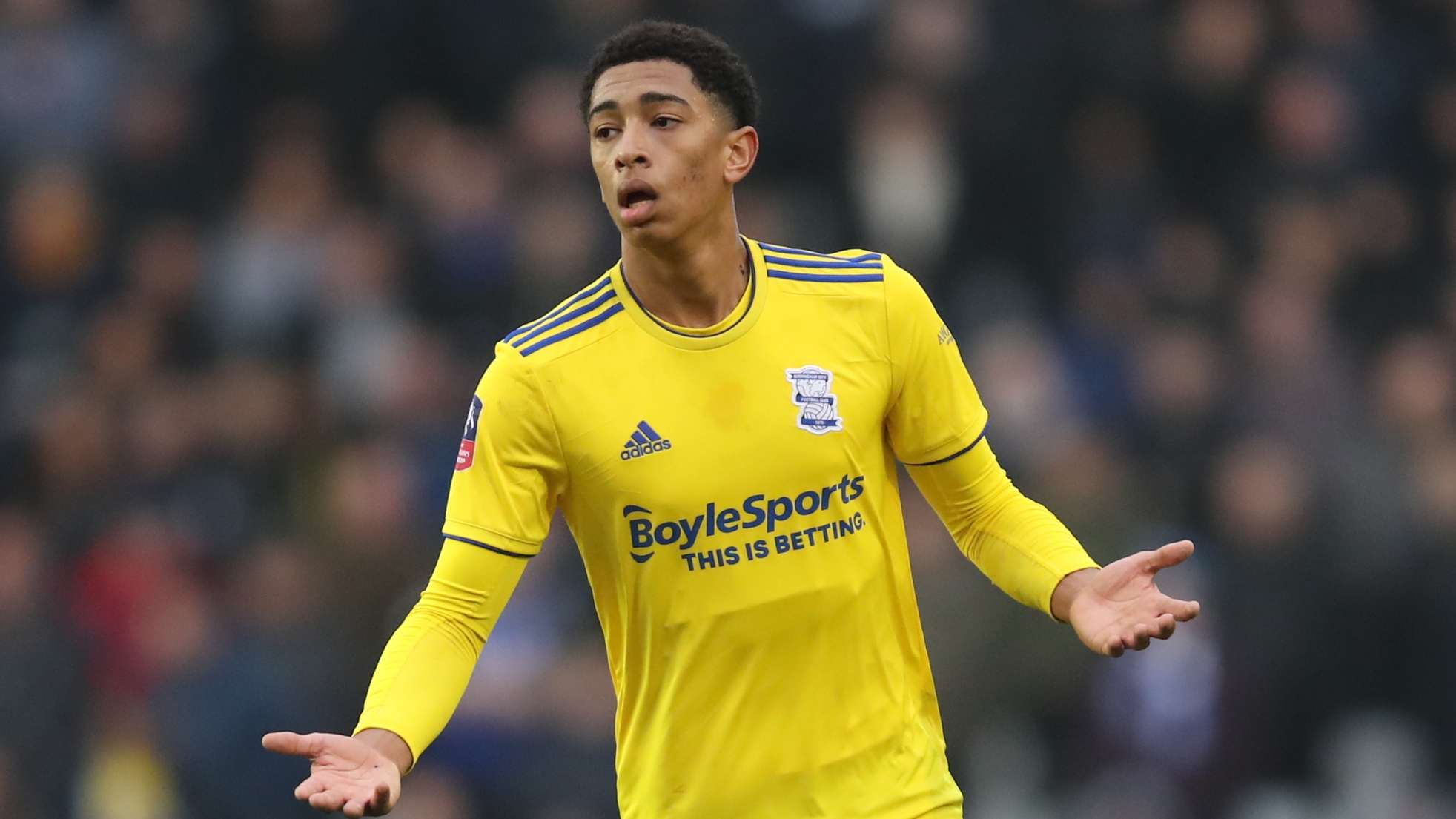 媒体账号下 媒体账号下